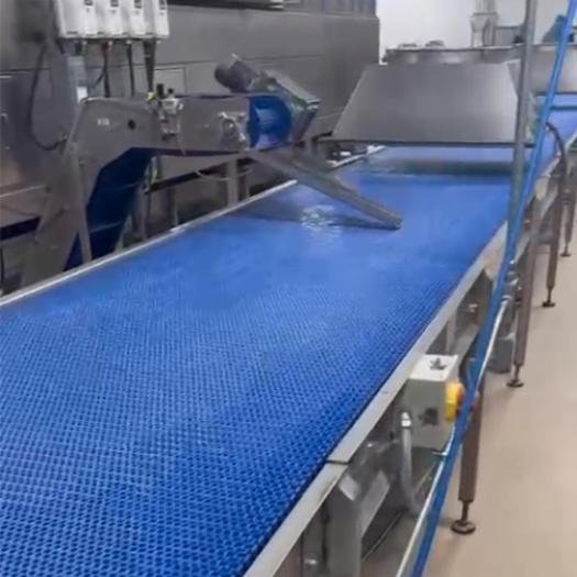 FULL SHEETED GLUTEN FREE BAKED CRACKER, BARS OR REGULAR TYPE PRODUCT - Image 2