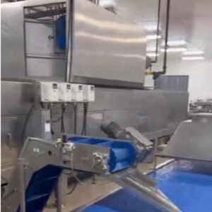 FULL SHEETED GLUTEN FREE BAKED CRACKER, BARS OR REGULAR TYPE PRODUCT