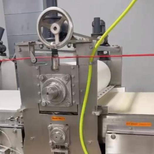 FULL SHEETED GLUTEN FREE BAKED CRACKER, BARS OR REGULAR TYPE PRODUCT - Image 4