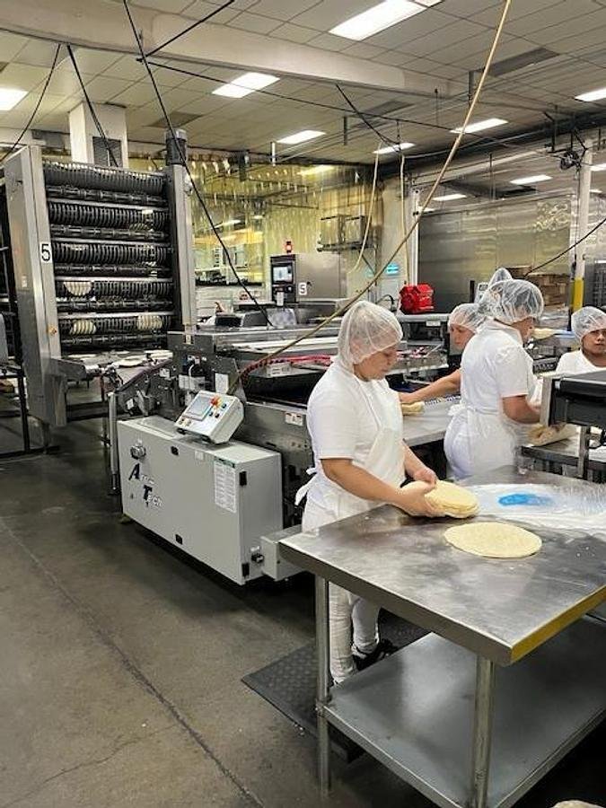 JC Ford Tortilla Line - Divider to Stacker